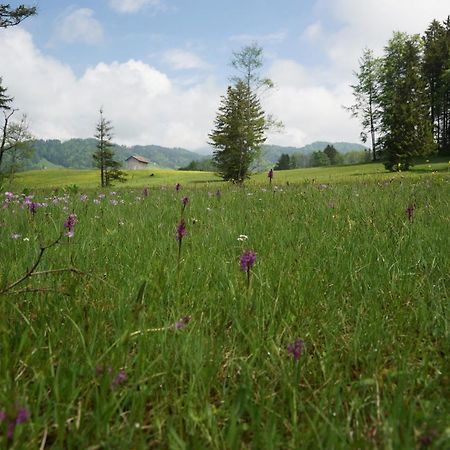 Berghof Voeglerbrand Villa Andelsbuch Luaran gambar